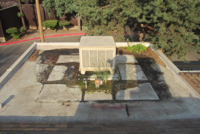 The Hairy Roof Michaud Engineering Inc.